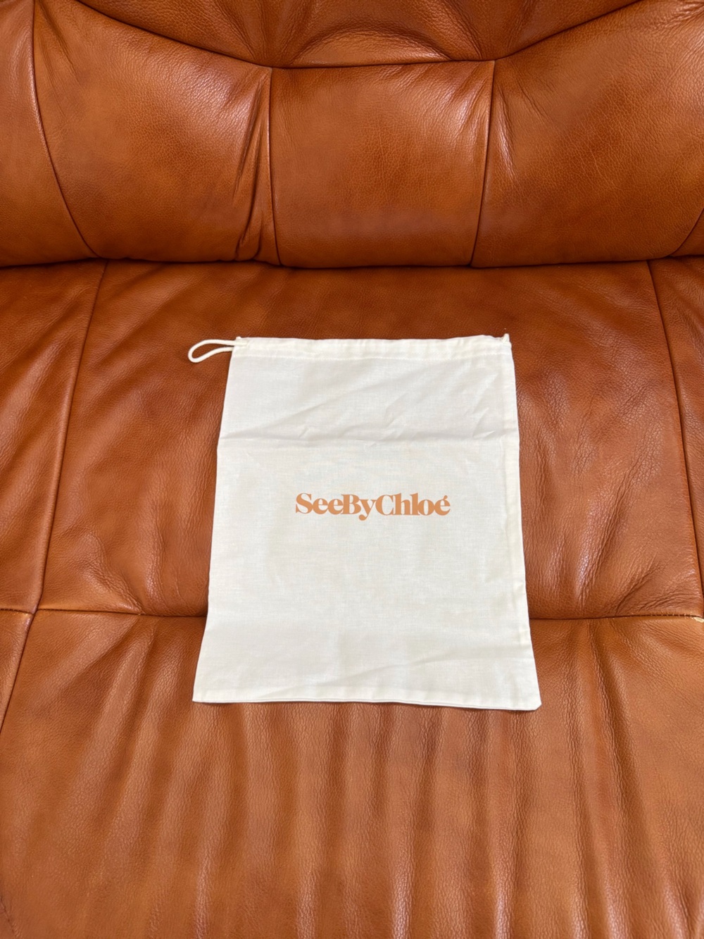 NWOT See By Chloe Dust Bag